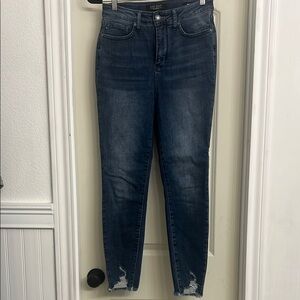 Judy Blue Tummy Control High Rise Skinny Jeans